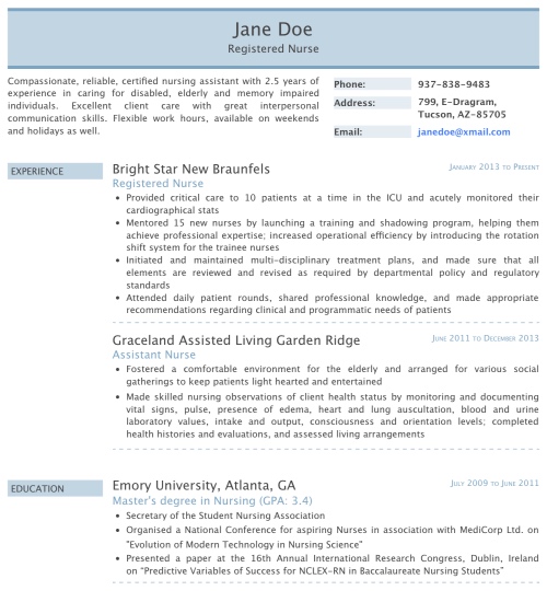 Professional Resume Template & Format - 'Classica'