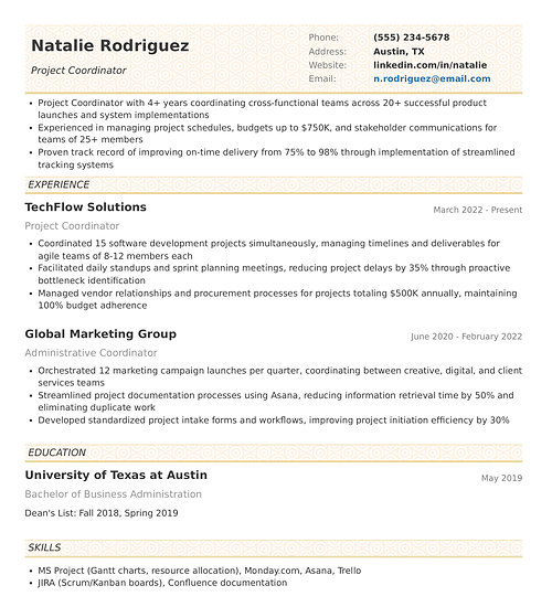 Resume template and format: Concise
