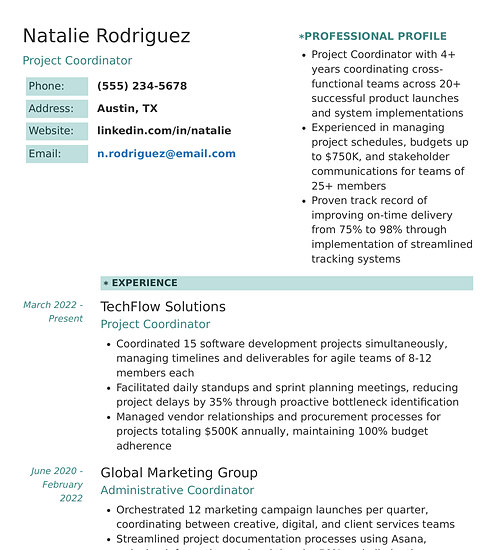 Resume template and format: Sleek