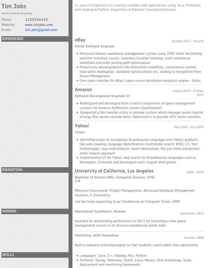 Hybrid Resume Format from www.resumonk.com